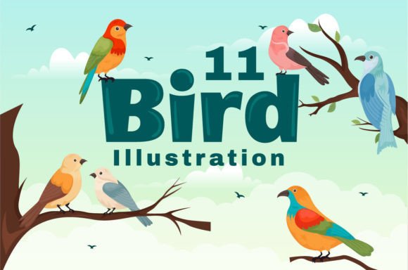 11 Bird Animal Vector Illustration: Graphics & Illustrations for Crafters