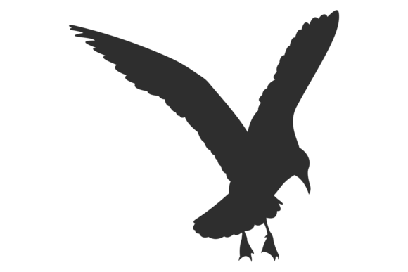Aerial Animal Silhouette. Black Flying B Graphics