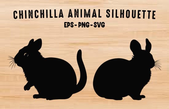 Chinchilla Animal Silhouettes Vector: Graphics & Illustrations for Sellers