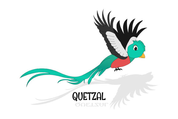 Cute Quetzal Animal Cartoon