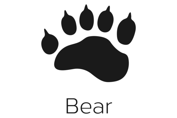 Forest Animal Trace. Black Bear Paw Prin: Graphics & Illustrations