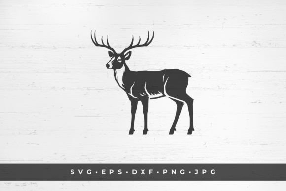 Horned Deer Mammal Wild Animal Graphics & Illustrations