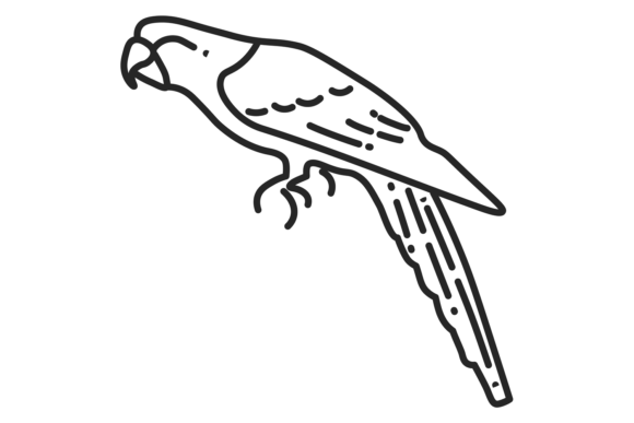 Parrot Line Icon: Tropical Bird Graphics & Illustrations