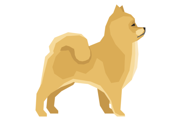 Pomeranian Dog Color Icon: Graphics & Illustrations