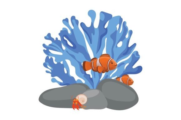 Sea Animal Fauna Graphics & Illustrations