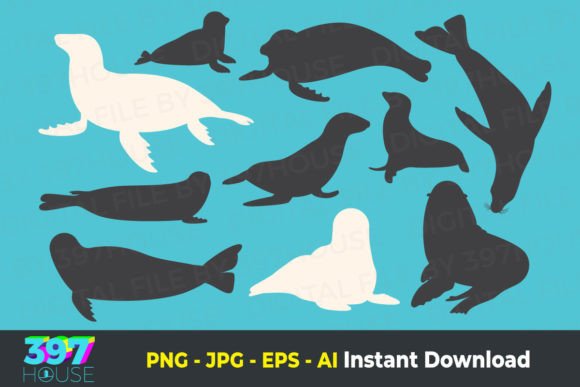 Set of Different Acting Seal Animal