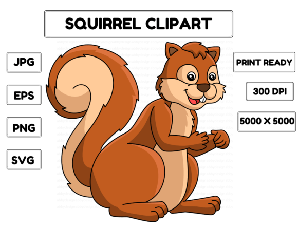 Squirrel Animal Cartoon Colored Clipart: Graphics & Illustrations