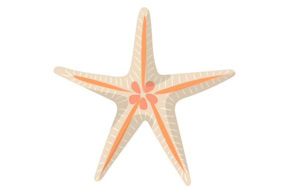 Starfish Color Icon. Sea Beach Animal Sy